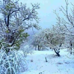دانلود ریمیکس میگفتی تویی که با من همزبونی